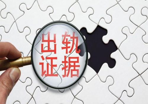 泉州外遇调查取证：一审未举证二审还可以提交证据吗